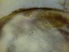 DSC00012.JPG