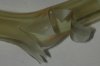 DSCN0069.JPG