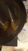 20160211_001239.jpg