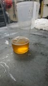 pils (960 x 540).jpg