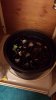 20131128_165650.jpg