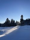 IMG_9917.jpeg