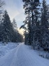IMG_9909.jpeg