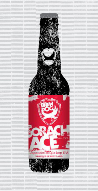 brewdogrecipes.com