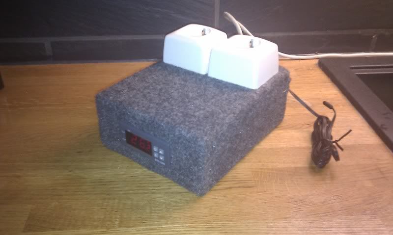 IMAG1132.jpg